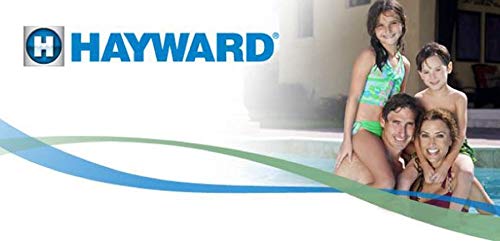 Hayward SP1091WM Écumeur de piscine hors sol Dyna-Skim