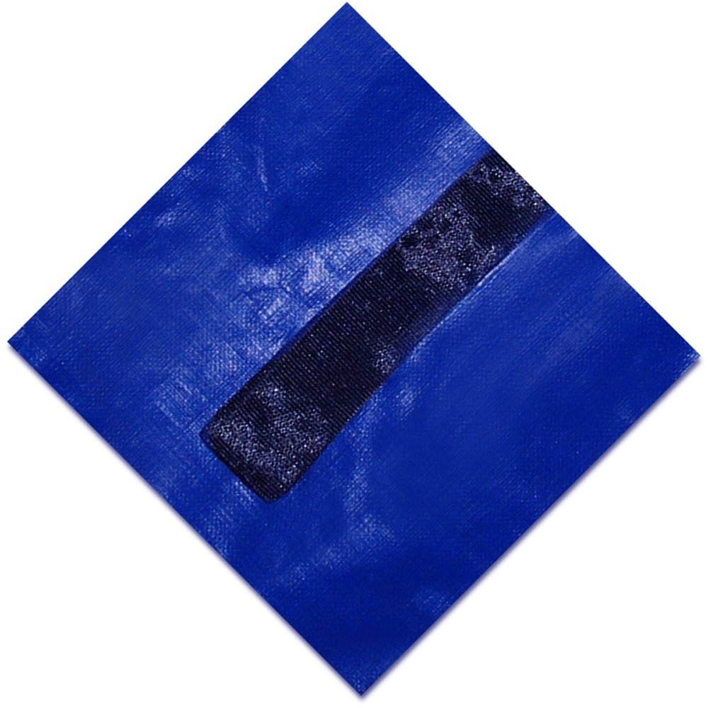 Blue Wave BWC958 Gold Bâche d'hiver rectangulaire pour piscine creusée, 15 ans, 16 pi x 32 pi