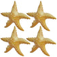Jet Creations Inflatable Animals 20 inch Wide Pack of 4 Star Fish Party Pool Supplies Favors Birthday Gifts for Kids an-STAR4, Multi STARFISH
